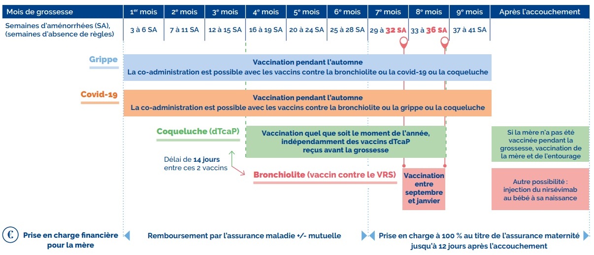 Frise reprenant les périodes de vaccination recommandées selon chaque vaccin et les informations de remboursement retrouvées dans le lien ci après
https://has-sante.fr/jcms/p_3590575/fr/grossesse-les-vaccins-recommandes?id=p_3590575&preview=true